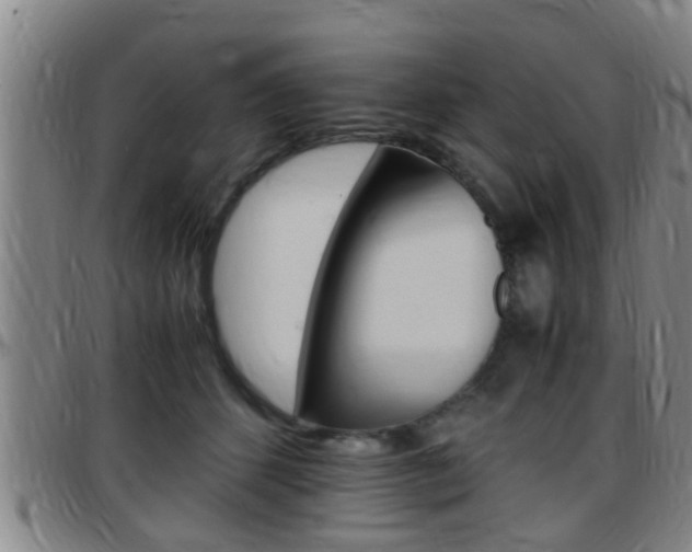X0000097880512200803140945