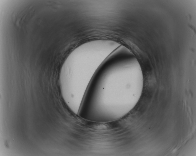 X0000097880513200803140945