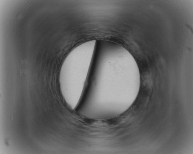 X0000097880515200803140945
