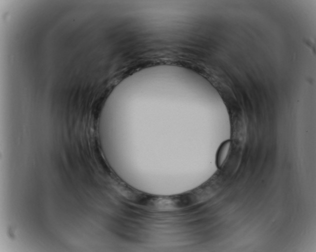 X0000097880518200803140945