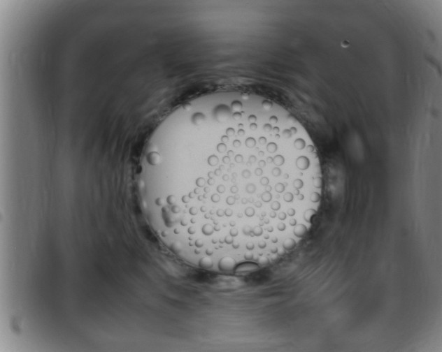 X0000097880519200803140945
