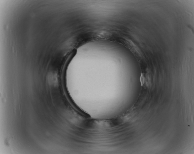 X0000097880520200803140945