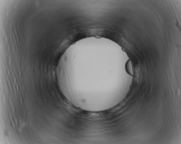 X0000097880522200803140945