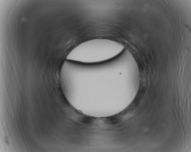 X0000097880523200803140945