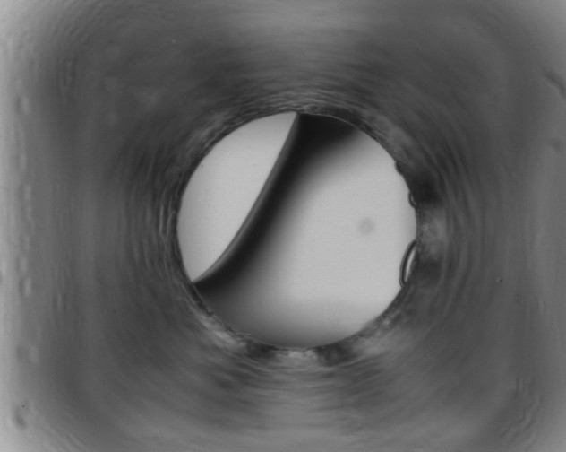 X0000097880525200803140945
