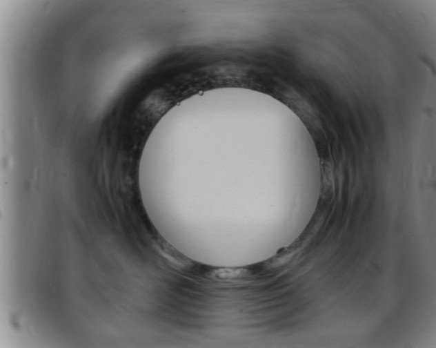 X0000097880526200803140945