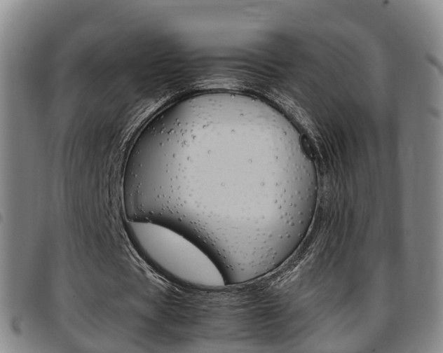 X0000097880529200803140944