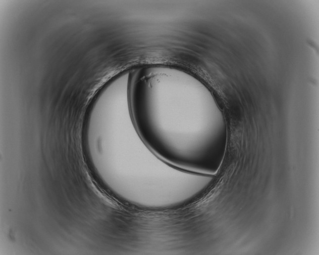 X0000097880530200803140944
