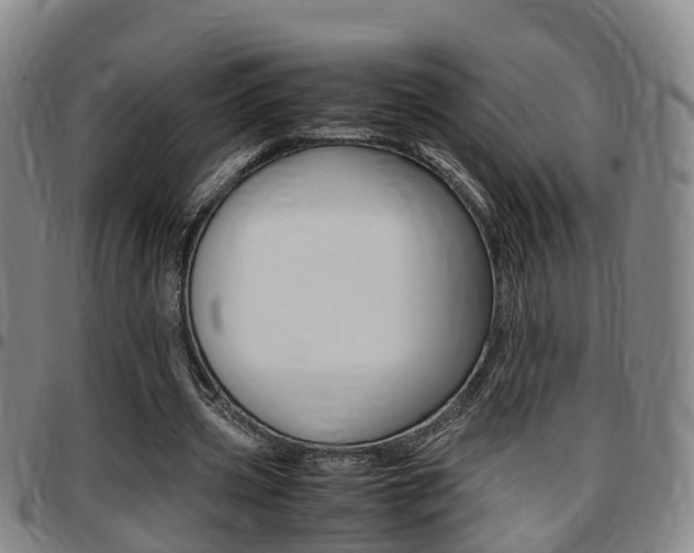 X0000097880533200803140944