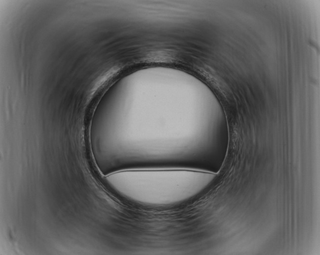 X0000097880535200803140944
