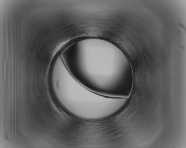 X0000097880536200803140944