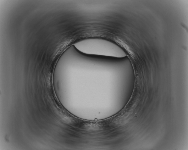 X0000097880537200803140944