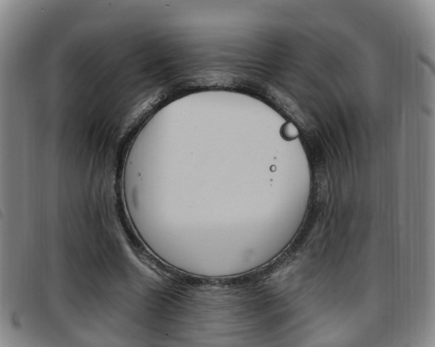 X0000097880538200803140944