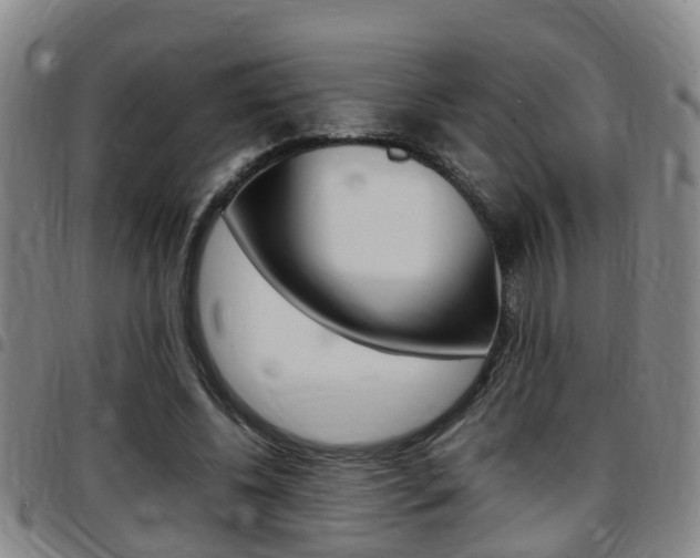 X0000097880540200803140944