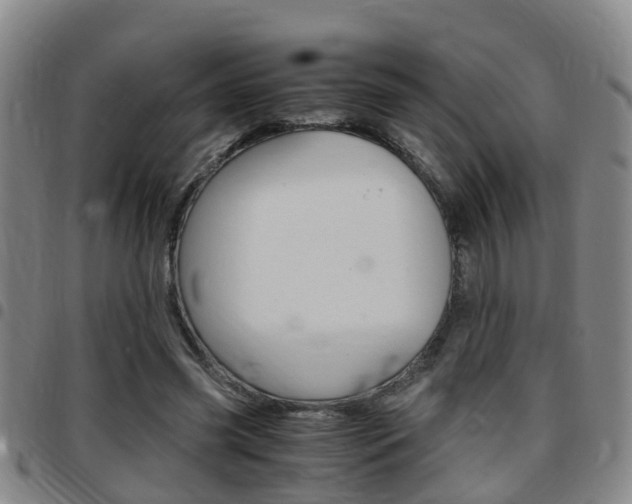 X0000097880541200803140944