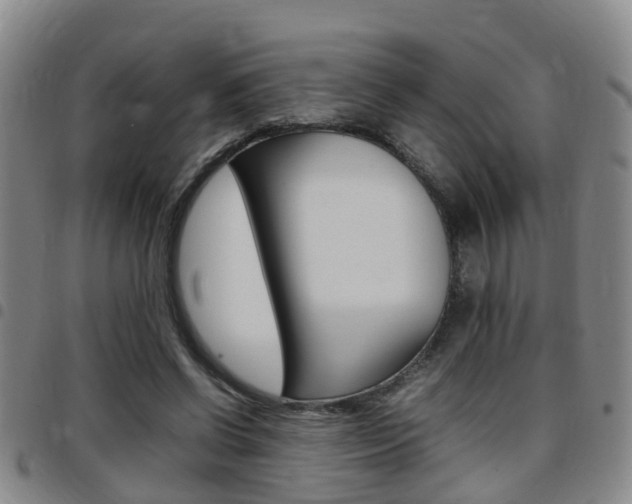 X0000097880542200803140944