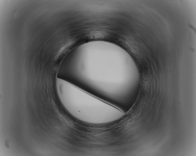 X0000097880543200803140944