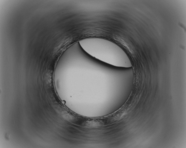 X0000097880545200803140944