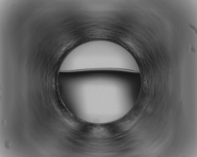 X0000097880547200803140944