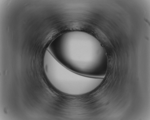 X0000097880548200803140944
