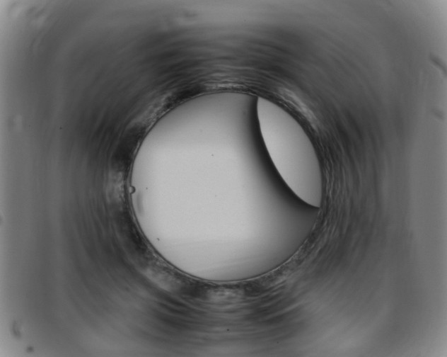 X0000097880549200803140944