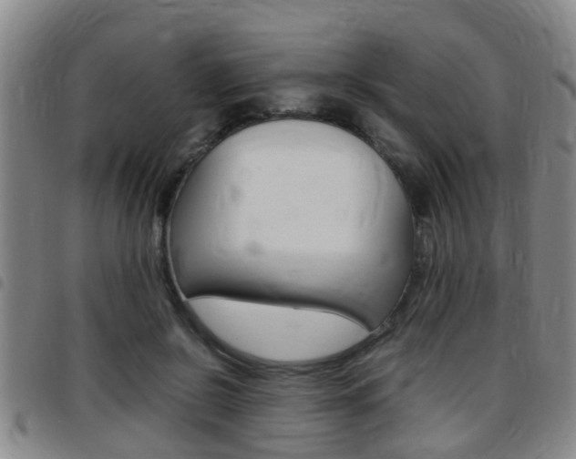 X0000097880550200803140944