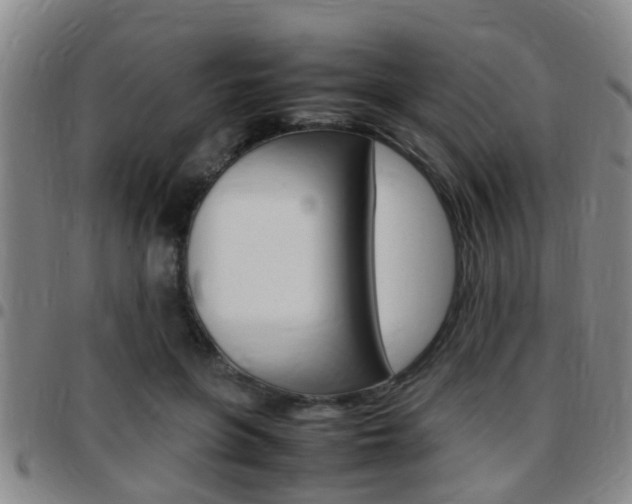 X0000097880551200803140944