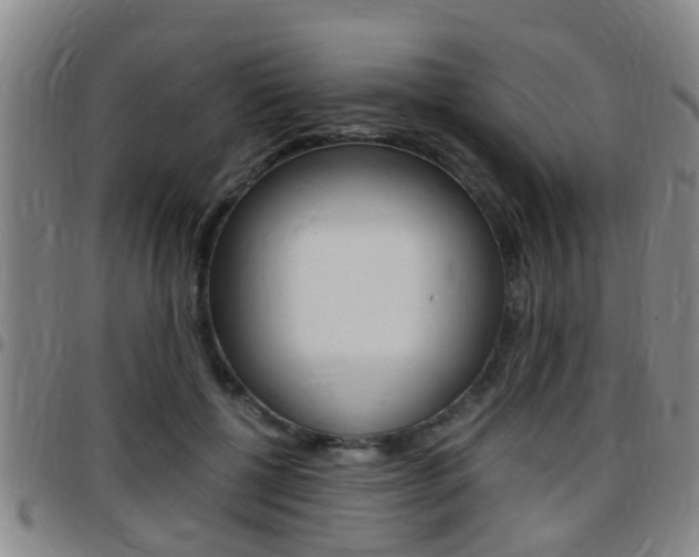 X0000097880552200803140944