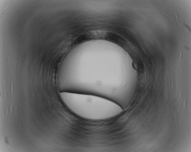 X0000097880553200803140944