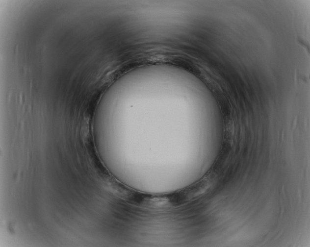 X0000097880554200803140944