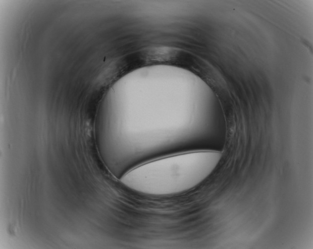 X0000097880555200803140944