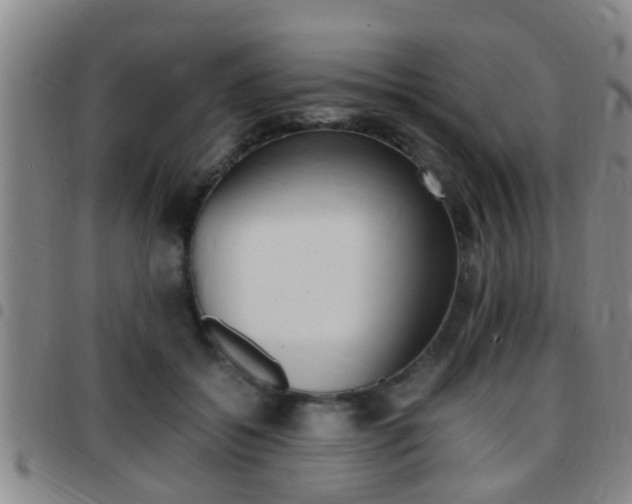X0000097880556200803140944