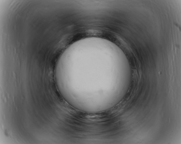 X0000097880557200803140944