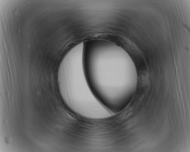 X0000097880558200803140944