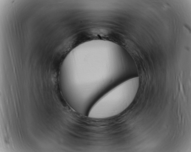 X0000097880559200803140944
