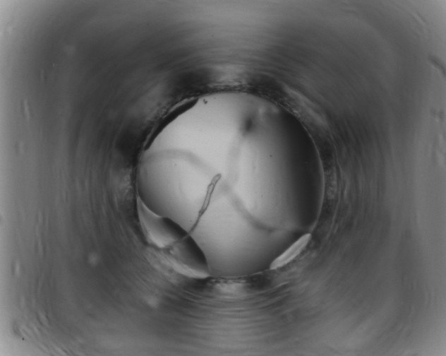 X0000097880560200803140945