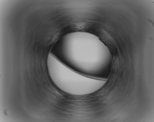 X0000097880562200803140945