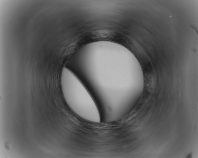 X0000097880563200803140945