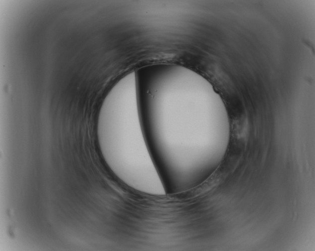X0000097880564200803140945