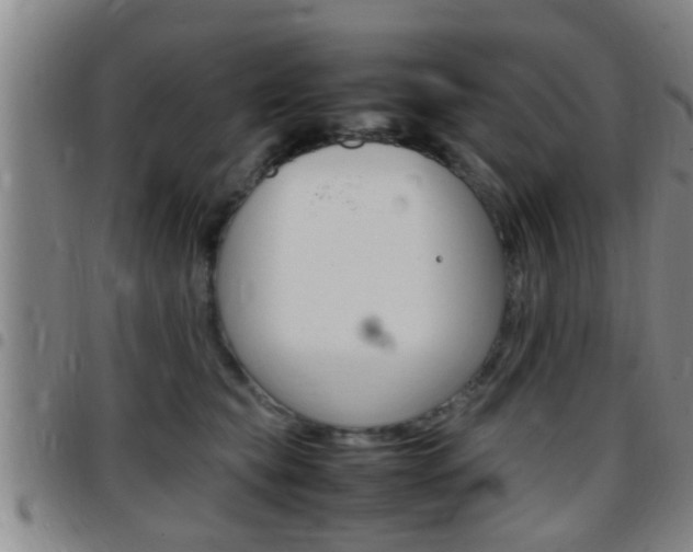 X0000097880565200803140945