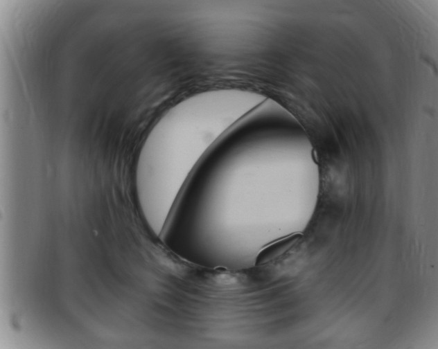X0000097880566200803140945