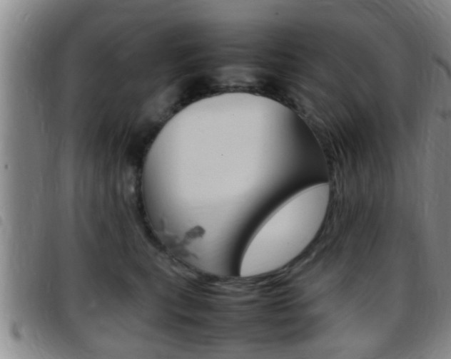 X0000097880567200803140945