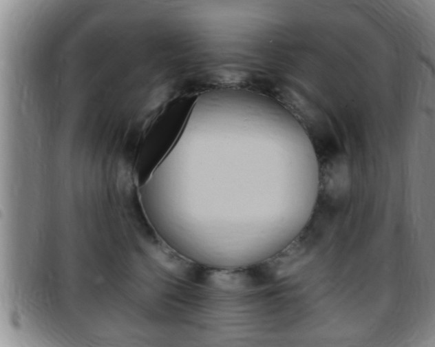 X0000097880568200803140945