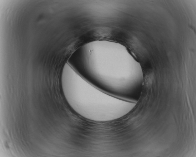 X0000097880570200803140945