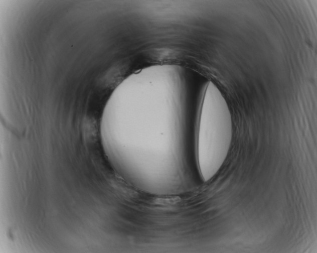 X0000097880571200803140945
