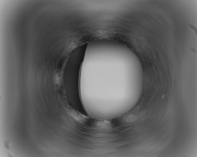 X0000097880576200803140945