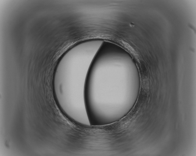 X0000097880577200803140944