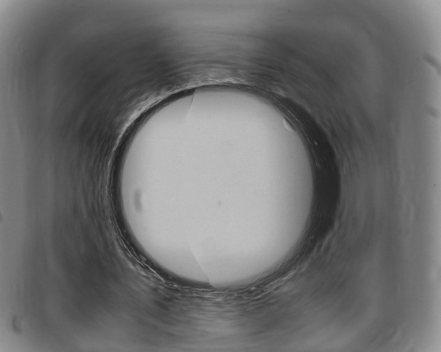X0000097880579200803140944