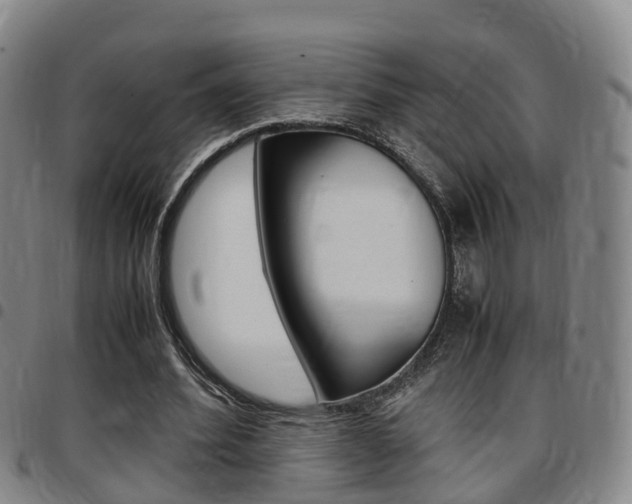X0000097880580200803140944