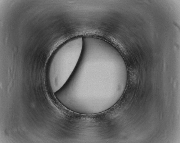 X0000097880582200803140944